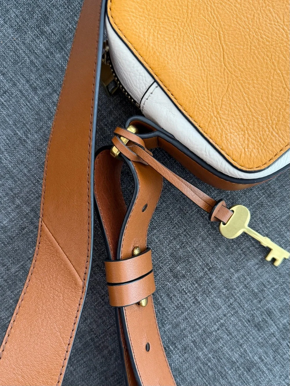 Fossil super cute